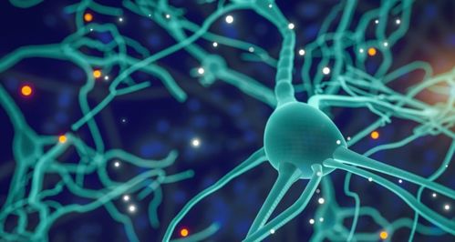 專訪再生生物 像預(yù)防疾病一樣抗衰，AI制藥與細胞技術(shù)重塑抗衰老未來