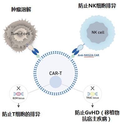 實(shí)體瘤CAR-T的破局者 科濟(jì)藥業(yè)李宗海談全球研發(fā)進(jìn)展、海外布局與下一代技術(shù)