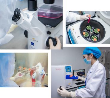 自貿(mào)區(qū)示范新篇章 壹加健康攜手珠海市人民醫(yī)院，開(kāi)啟細(xì)胞技術(shù)研發(fā)與應(yīng)用生命健康戰(zhàn)略合作