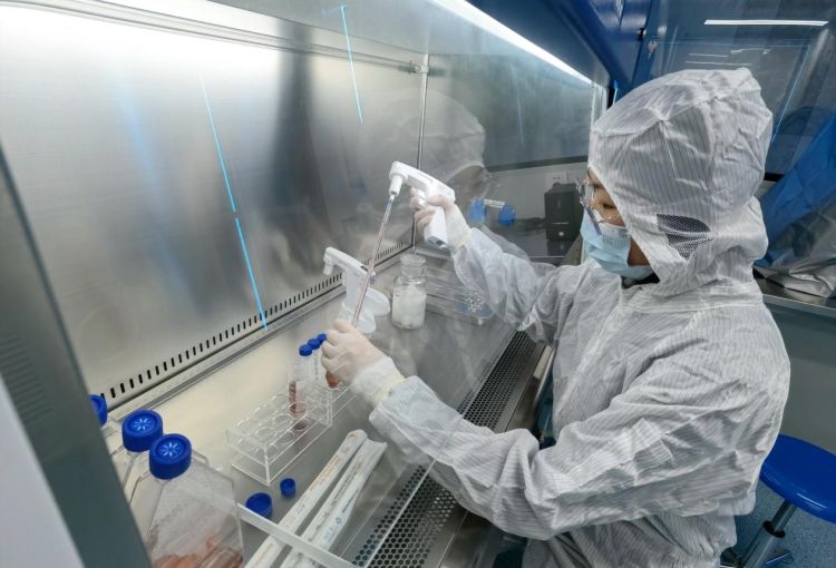 深圳細(xì)胞產(chǎn)業(yè)迎來(lái)新引擎 “大灣區(qū)國(guó)際綜合細(xì)胞庫(kù)與區(qū)域制備中心”揭牌，加速技術(shù)研發(fā)與應(yīng)用